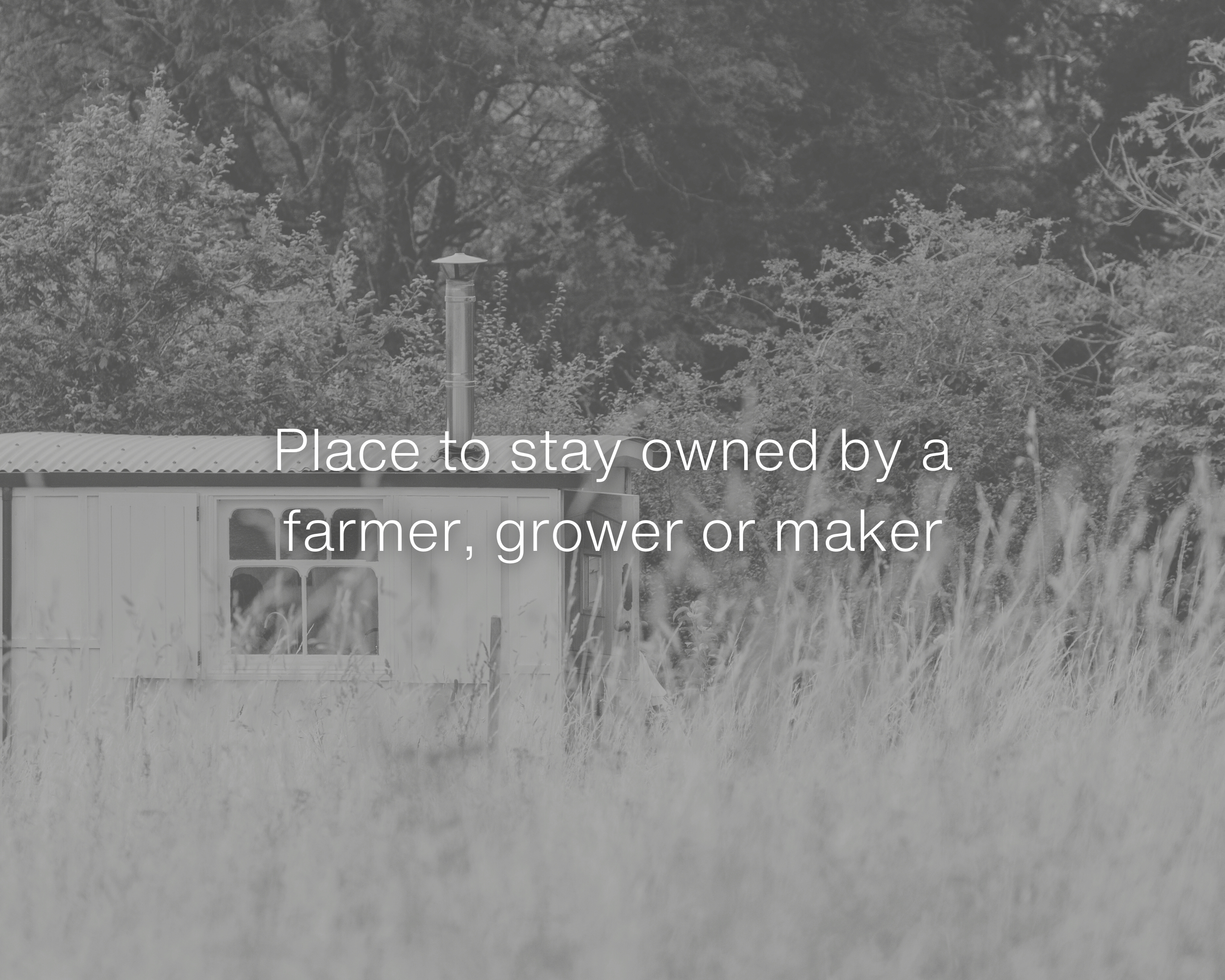Woodhouse Farm Eco Camping, West Alvington, Devon
