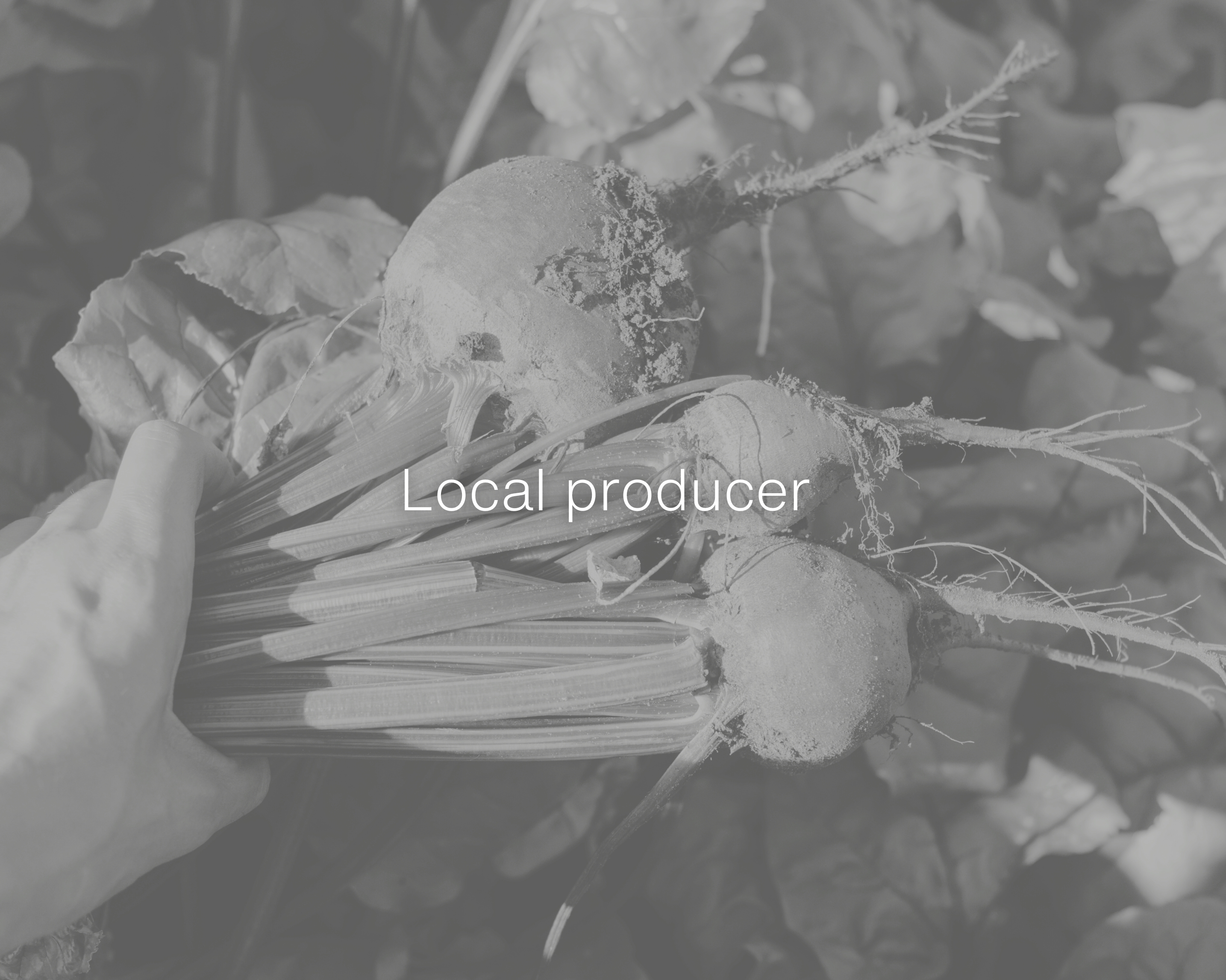 The Drum Seaweed Studio